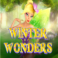 Winter Wonders